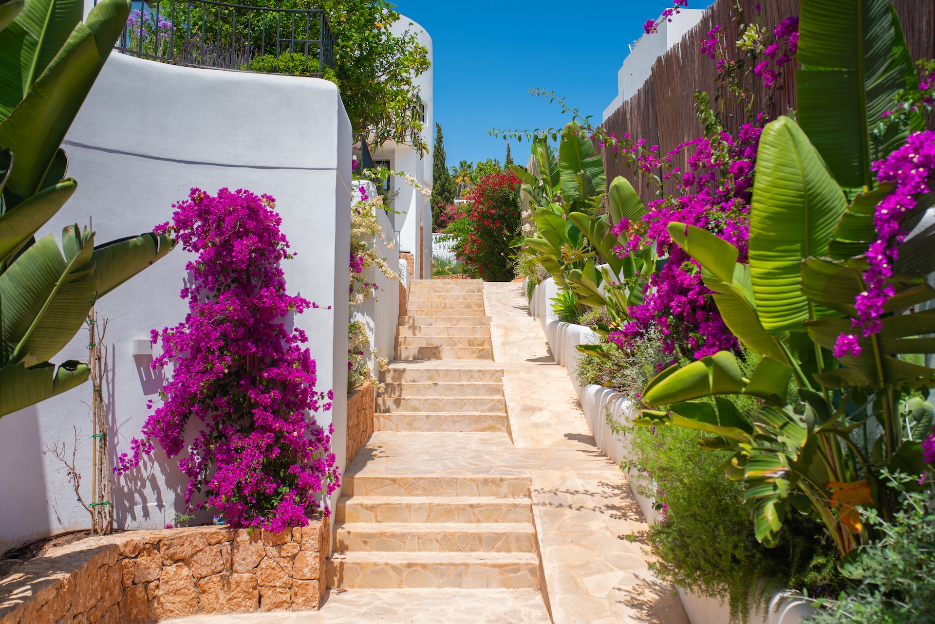 Resa estates Ibiza for sale modern villa martinet views exterior stairs.jpg